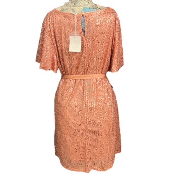 Lost in the 🔥 
NWT LC Lauren Conrad Shimmering Peach Sequined Minidress - Picture 2 of 7